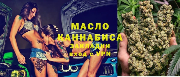 стаф Бородино