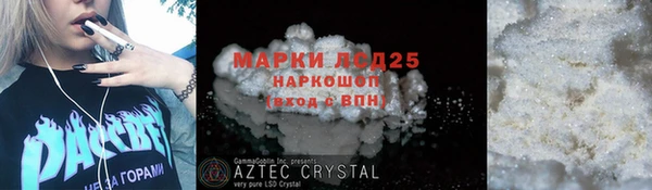 стаф Бородино