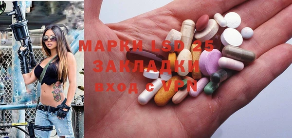стаф Бородино