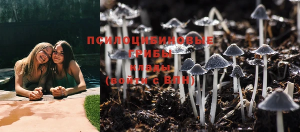 стаф Бородино