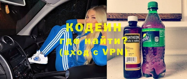 стаф Бородино