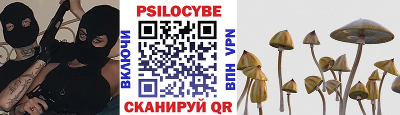 Галлюциногенные грибы мицелий  mega ссылка  Новохопёрск 