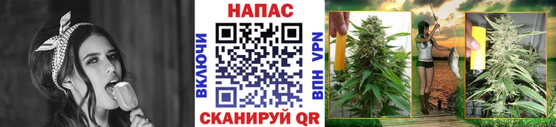 цена   Новохопёрск  Канабис сатива 